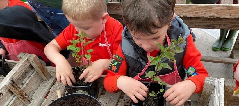 Blackburn District Scouts planting seedlings during a group activity